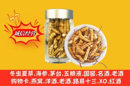 通化市东昌回收散虫草